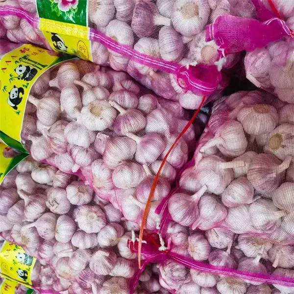 Natural Garlic